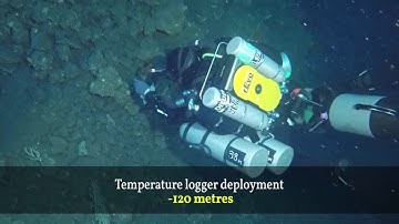 Temperature Loggers Deployments