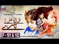 Watch Tootay Huway Taray Episode 101 & 102 - ARY Zindagi Drama Online In HD