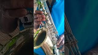 Saxofon Alto; El Voluntario (#Joropo)