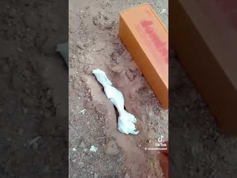 الشعب المصرى ملوش حل ابدا