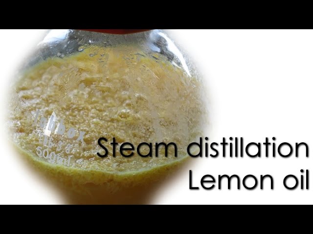 Steam distillation - Lemon essential oil 🍋 class=