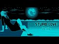 Lady Gaga - Stupid Love (Lyrics)