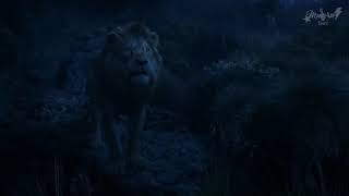 Spoiler O Rei Leão 2019Br- Simba Reencontra Seu Pai Nas Nuvens