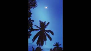 Tems x Partynextdoor Type Beat ~ Wavy