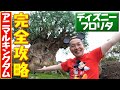 【ガチ案内】アニマルキングダムの回り方(うえちゃん流)徹底解説!【フロリダ・ディズニー編#16】