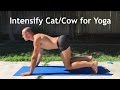Cat Cow Part 2: How to Intensify Cat/Cow and Use it to Transition to Downward Dog with Antranik