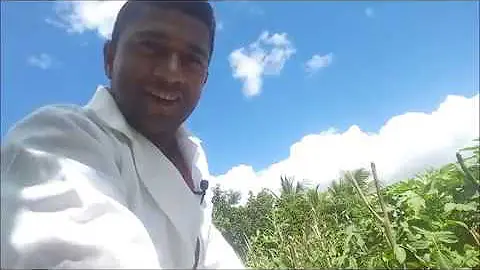 Quais as consequências da compactação do solo no desenvolvimento da planta?