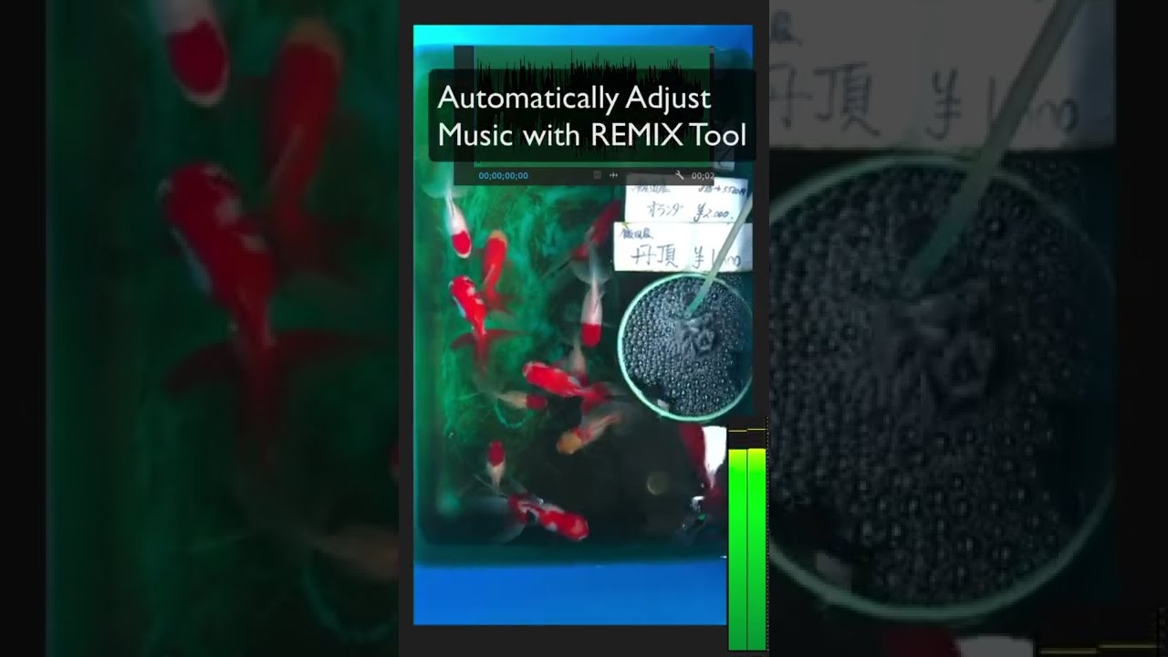 How to Automatically REMIX Audio in Adobe Premiere Pro