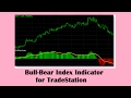 Bull-Bear Index Indicator for TradeStation