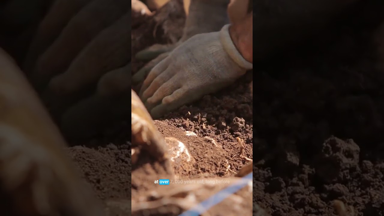 Ancient Bridge Defies Science | Floating Mystery