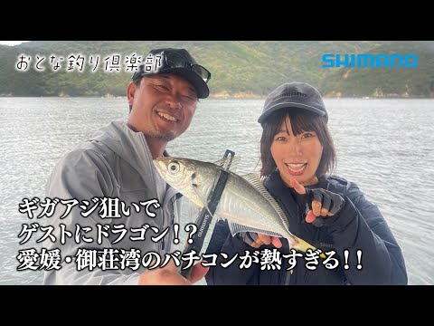 【おとな釣り倶楽部】愛媛県御荘湾、船からライトバチコン釣りで良型アジ連発！良型タチウオ！
