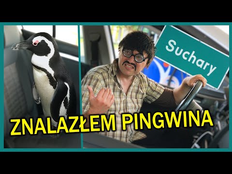 PETROL STATION 2- Suchary #260