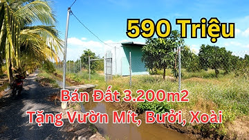 Bán Đất Giá Rẻ Tặng Cả Vườn Mít, Bưởi, Xoài...
