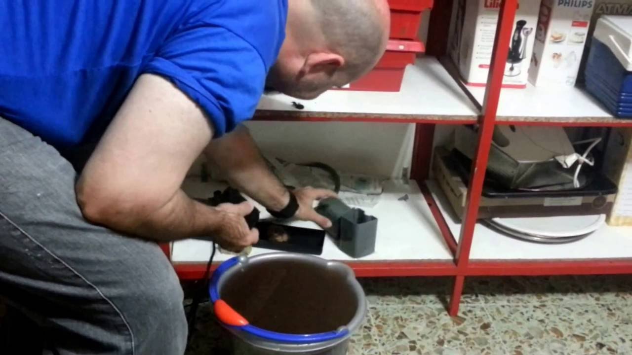 Como Colocar Filtro Interno Acuario