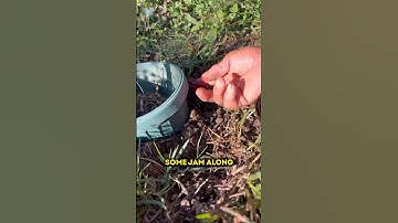 It Took This Old Timer 200 Years To Discover This Genius Trick