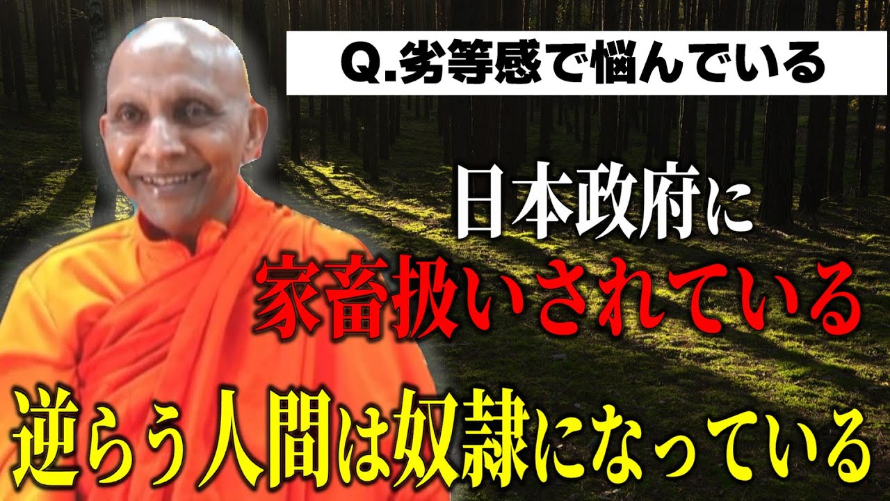 劣等感に悩んでいる人は必見『絶望感が嫌だったら希望を作らないことです』 【スマナサーラ長老切り抜き】