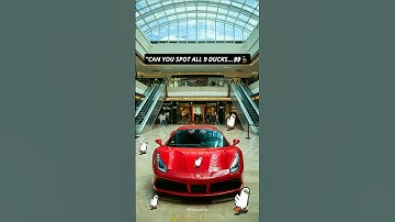 Can you Spot All 9 Ducks🦆👀 under 5 Sec💯❌#duck #duckchallenge#find #funshorts #memes #brainchallenge