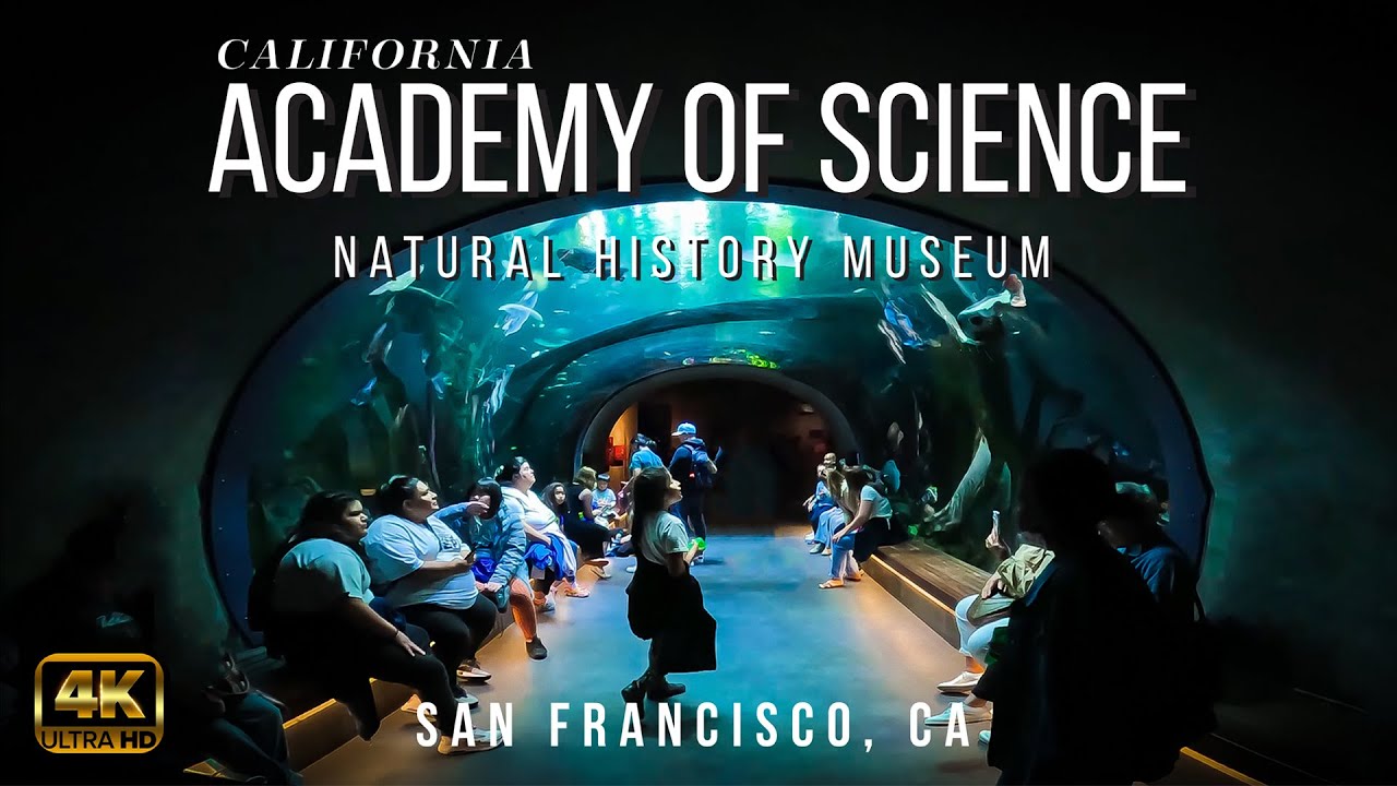 Walking Tour | California Academy of Science, San Francisco, CA 2023 [4K]