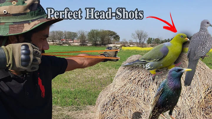 Birds Hunting with Unique Skills