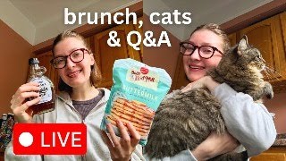 Make Brunch With Me & The Cats Ask Me Anything