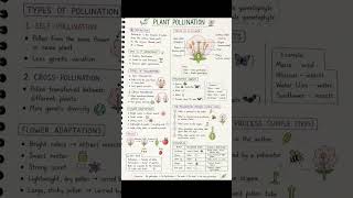 #plants pollination #biology #neet  #plants #important #neet2026  #physicswallah #shortvideo #shorts