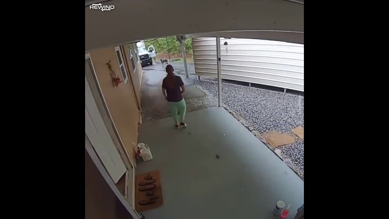 Kumpulan Video Reaksi Orang  Di Kejar Anjing (DOG)
