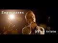 Zaporozsec - Valse triste (Official Music Video)