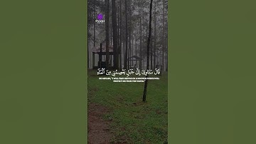 تلاوة مؤثرة تُبكي العيون وتخشع القلوب
