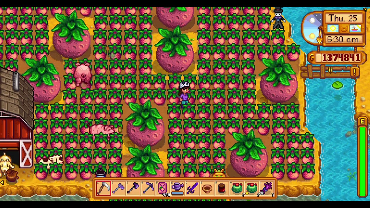 Stardew Valley: Giant Melons 