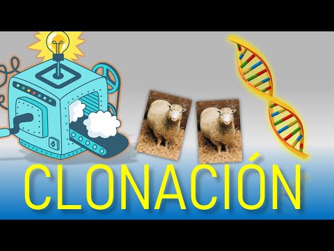 Vídeo: La Muerte De La Oveja Dolly No Estuvo Relacionada Con Problemas De Clonación - Vista Alternativa