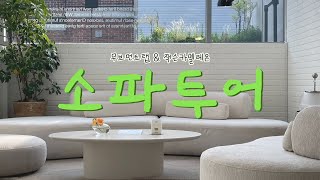 이사준비 | 신혼가구 무브먼트랩 & 잭슨카멜레온 소파투어 브이로그💚과연 우리집 소파는?