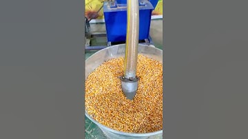 Cattle & Sheep Feed Pellet Machine in Action 🐄🐑 | Efficient Feed Pellet Mill for Farms  # machine