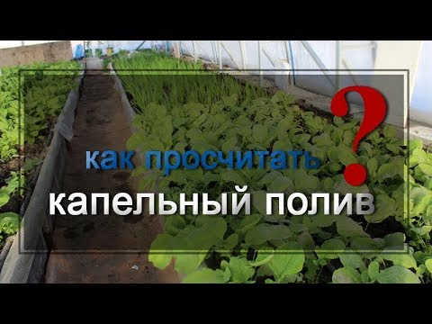 Как правильно рассчитать капельный полив у себя на участке