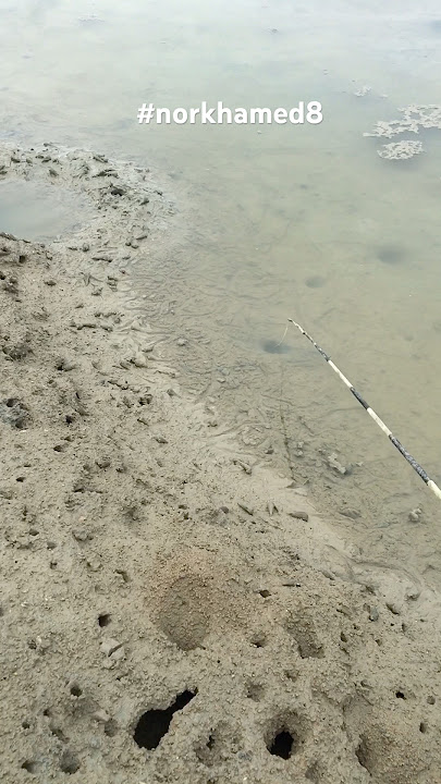 laubang terlalu banyak harus pintar pilih #short