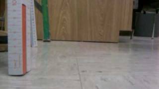 Bungee egg Project