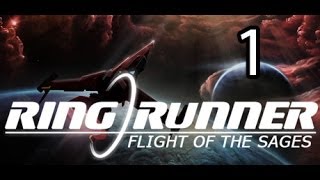 Ring Runner:Flight of the Sages Let's Play- Part 1(We jump into the campaign)