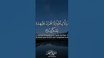 أواخر سورة النحل 🕌 تلاوة هادئة 🎤 قرآن كريم 🥰