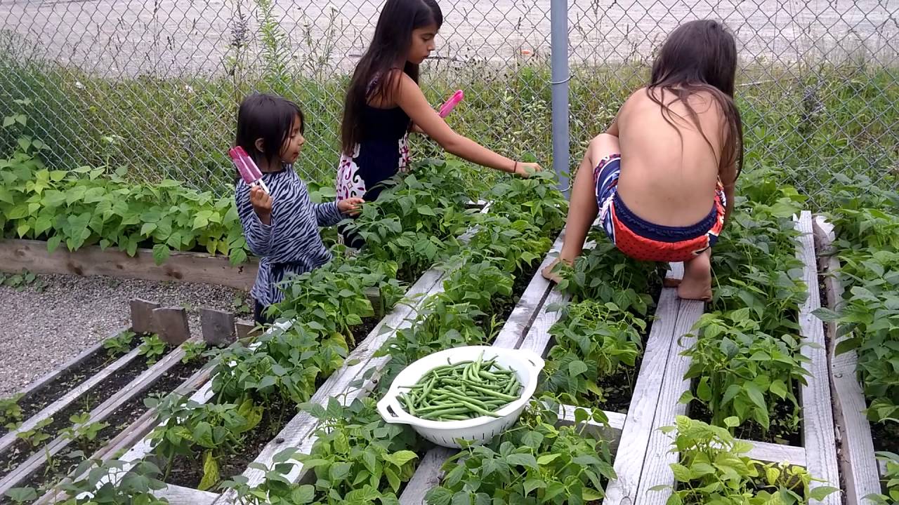 Eskasoni First Nation 3 rows to go YouTube