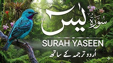 সূরা ইয়াসিন سورة يس | সবচেয়ে সুন্দর ও আবেগঘন কুরআন তেলাওয়াত | শান্তির জন্য প্রশান্তিদায়ক কণ্ঠস্বর