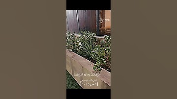 ﴿ إِن تَتُوبَا إِلَى اللَّهِ فَقَدْ صَغَتْ﴾ [ التحريم: 4] القارئ اسلام صبحي .