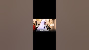 تلاوة خاشعة نادر القلاوي