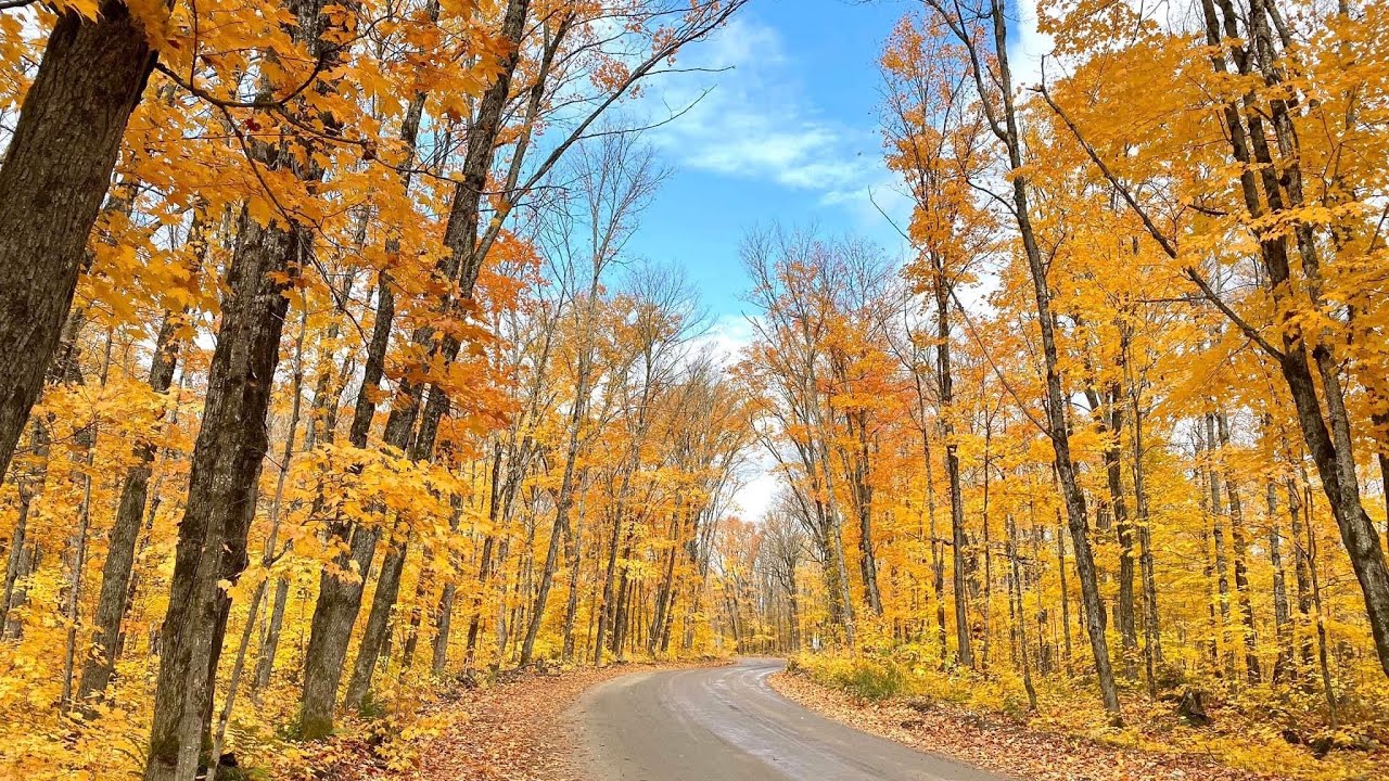 Where to pose in Algonquin Park Canada with Eric | Algonquin Park best scene | Eric Travel