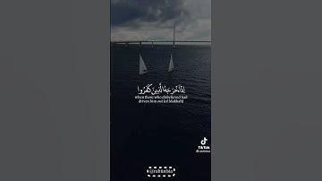 (إلا تنصروه فقد نصره الله) || القارئ عبدالرحمن مسعد ❗