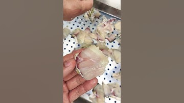 Fish slicer for factory