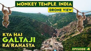 MONKEY TEMPLE INDIA 🐒 | KYA HAI GALTAJI KA RAHASYA? | EP 04 Jaipur Travel Diaries| Gang of Ghumakka