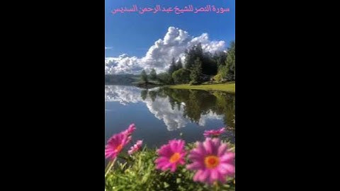 سورة النصر للشيخ عبد الرحمن السديس