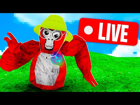 Gorilla Tag LIVE! (FANLOBBIES & MORE)
