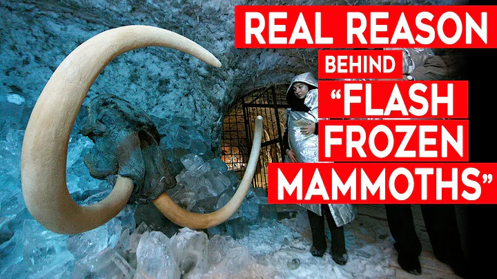 The Real Reason behind “Flash Frozen Mammoths”