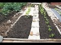 No dig, using less compost to grow great plants and have clean soil