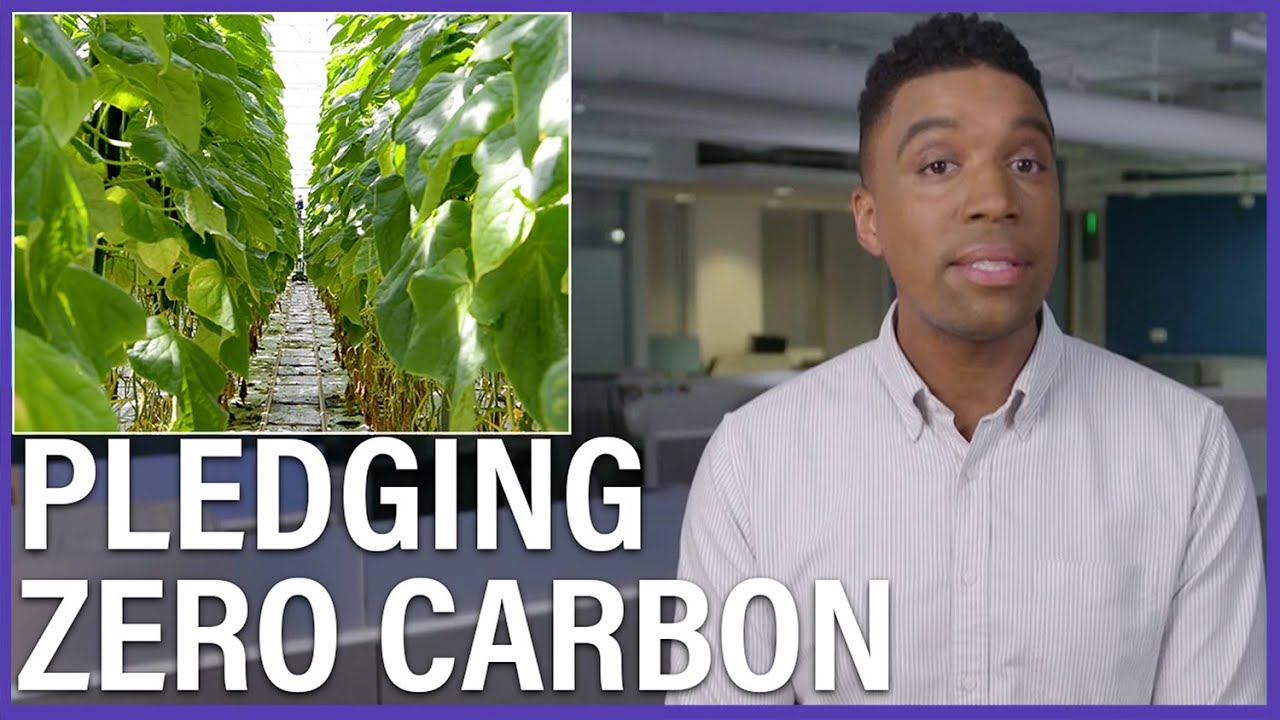 The Workaround Some Companies Use To Say They're 'Carbon-Neutral'